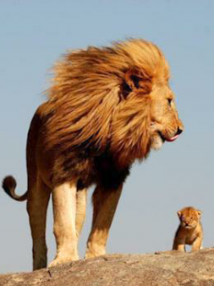 Riste me ham tumhare baap lagte hain...