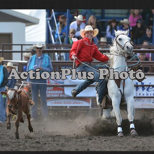 calf roper, team roper