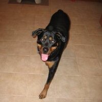 dynamike614 (@dynamike614) 's Twitter Profile Photo