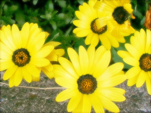 yamazakikayo's profile picture. 北海道在住の会社員です。趣味は自分磨き！
コスメ・スキンケア・美容情報に敏感です☆
ツイッターでいろんな方と交流していきたいので、よろしくお願いします＾＾