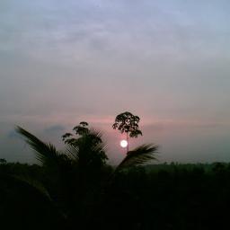 Journey to the green zone in Sri Lanka
