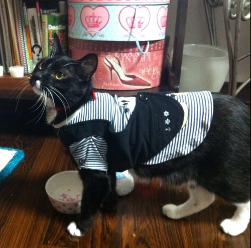 jennhime0518's profile picture. 