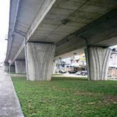 Melihat semua yang bisa terungkap dari bawah jembatan