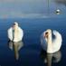 Cephalonia Concierge (@cephcon) Twitter profile photo