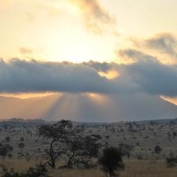 lawrencemus's profile picture. 