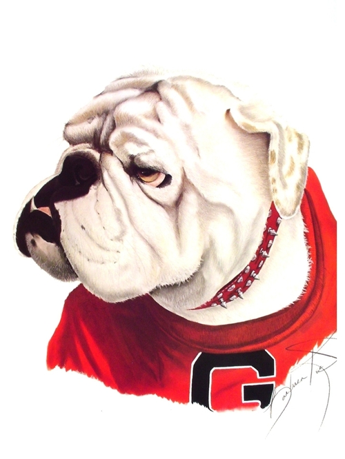 gak9s's profile picture. 
