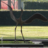 AdrianoDiPinto's profile image