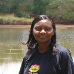 Country Director - Theovision International, Kenya