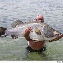 oddity001's profile picture. 