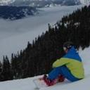 MarkHarrod - @MarkHarrod1 - Twitter