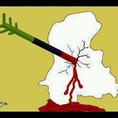 MustafaMirMusta's profile picture. 