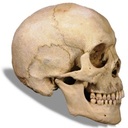 Lawrence Colombo - @LawrenceColombo - Twitter