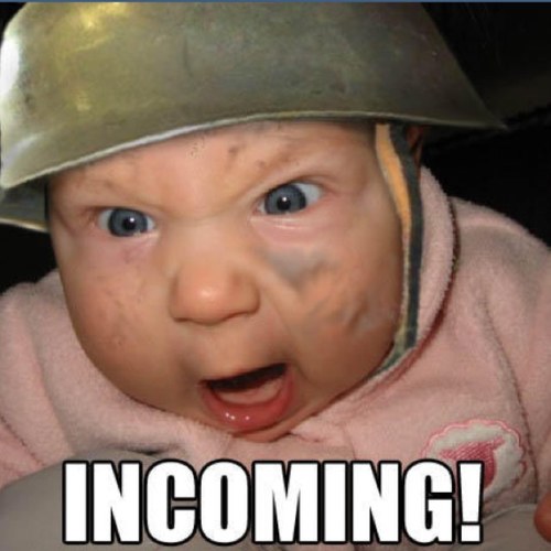 rsherl01's profile picture. Did you just swipe my face to the left to read this shit?