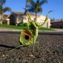 Oliver Richards - @NarcoOtta - Twitter