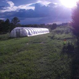 Digging Roots Educational Farm, 701 Hortman Road, Roberta,Ga non-profit 501 (c) (3)