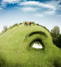 Sauravsingh357's profile picture. 