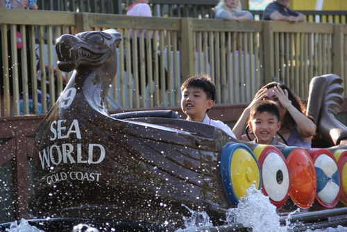 spa711's profile picture. I see n I remember, I do n I understand.