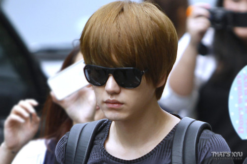 riskakyuhyun398's profile picture. saranghae kyuhyun super junior dkk