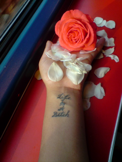 Wife.. and more!@nobodysbitch_  *TeamTrustnobody♀♀ I've love and i've lost! *got issues?