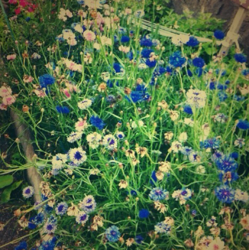 YenYennYennn's profile picture. 사람은 다 다르다