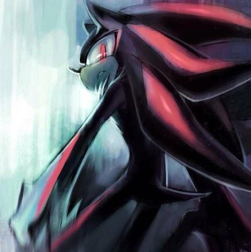 I am Shadow the Hedgehog ... I am also the king of darkness...and my wife @soniahedgie...well Do not mess with me because this would be a disaster for you..
