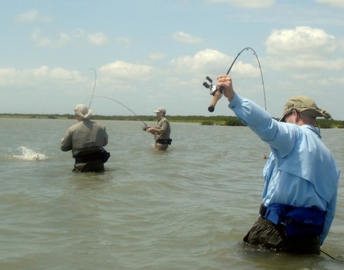 TexasBayFishing's profile picture. Enjoy the Lord's Blessings. Go wadefishing on the texas coast for trout slapping and reds crashing those top waters as the sun comes up!!