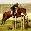 Leroy Muñoz Muñoz - @LeroyMM11 - Twitter