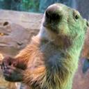 Chuck Schutt - @iamachuck2 - Twitter