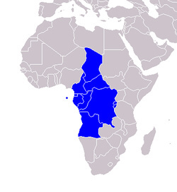 SUIVEZ Les TEAM AFRICAINEs Reunies en UN @team243_242_225 ! Ou clique sur le lien ci dessous :