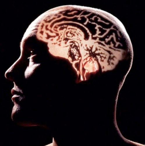 umitAktivist Profile Picture