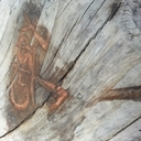 John Crisman - @crispylife420 - Twitter