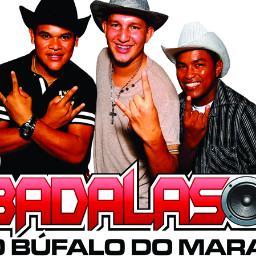 Somos a empresa Badalasom  O Búfalo do Marajó, 
Acessem nosso site http://t.co/sqYbM3Z8h1