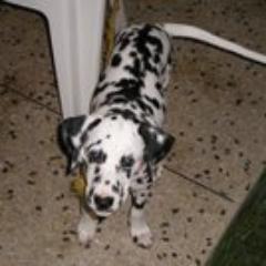 Madre, ama de casa, esposa, fiel amiga. Hay un camino!!