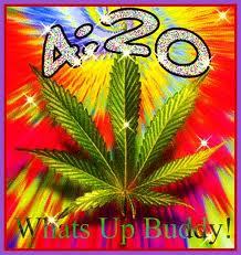 People of the 919 that love weed unite!