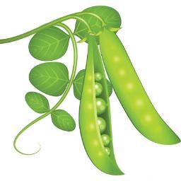 RobertRyanCater's profile picture. One of a kind Catering Company and Event Venue in Phoenixville, PA. Servicing Weddings and all other Special Celebrations at a facility of your choice!