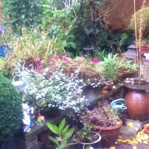 carlavanderkolk's profile picture. 