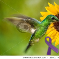 OPB_Chicago's profile picture. 