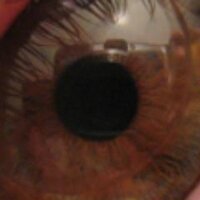 Jonathan Higgs (@jjphiggs) 's Twitter Profile