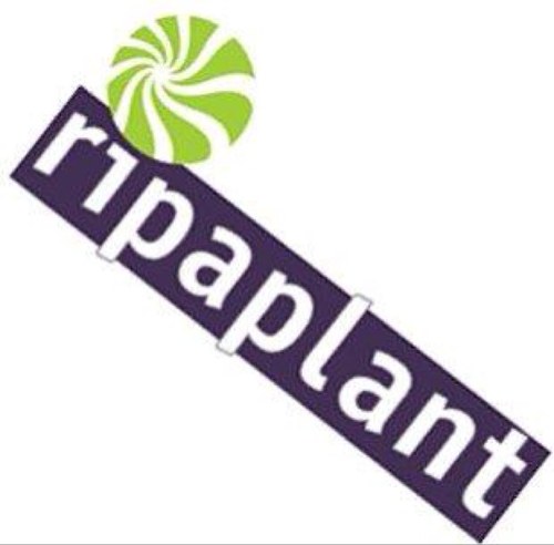 ripaplant's profile picture. Ripaplant B.V.  producent van exclusieve pot plant combinaties