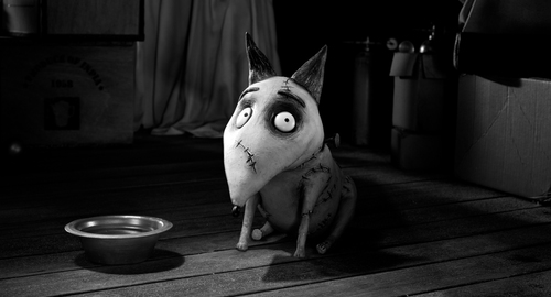 I'm just a little Frankenweenie.. I was dead. Now I'm not. Deal with it. #YOLOmyAss