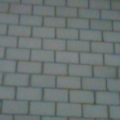 rene_zw_ch's profile picture. 