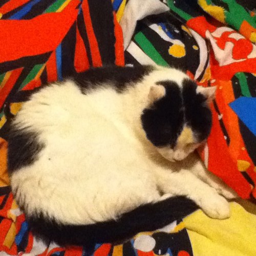 TwoPointTwoXD's profile picture. Prieviously on: MY LIFE! Or presently...?
Or pastly? That sounds delicous. 
Like pasty or pastie. Yum yum. Erh.. Eh what?