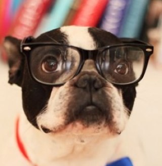 muttis's profile picture. 