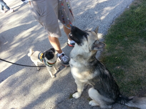 redman2532's profile picture. 