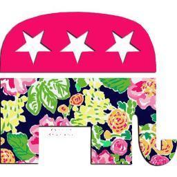 Presidential campaign staffer #RomneyRyan2012 . 
Views and opinions are my own. Follow me @Hilary_McLean