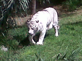 EACC23's profile picture. 