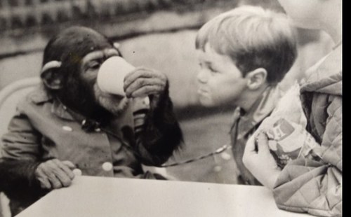 Talking Ape a L&D consultancy using the latest behavioural psychology and neuroscience to bring about lasting behavioural change.