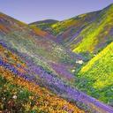 Deanna Brewer - @deelynne1969 - Twitter