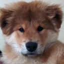 Cristobal Celis M. - @celis_cristobal - Twitter