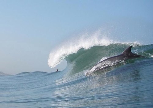 J_Arechiga's profile picture. 